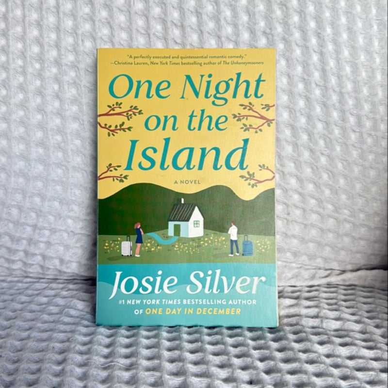 One Night on the Island