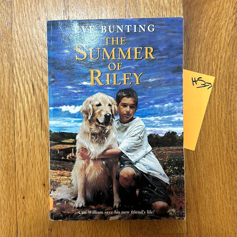 The Summer of Riley