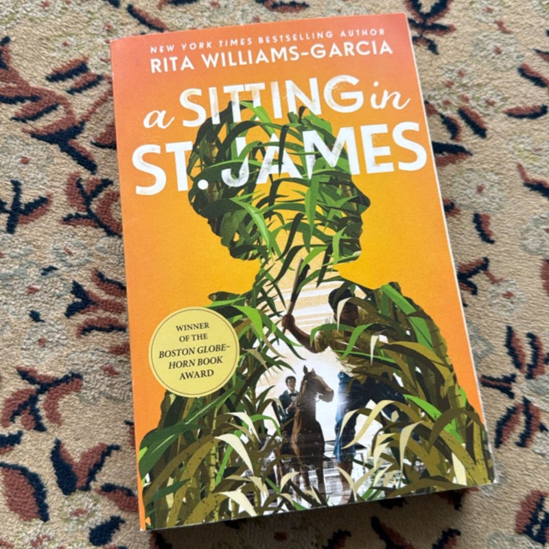 A Sitting in St. James