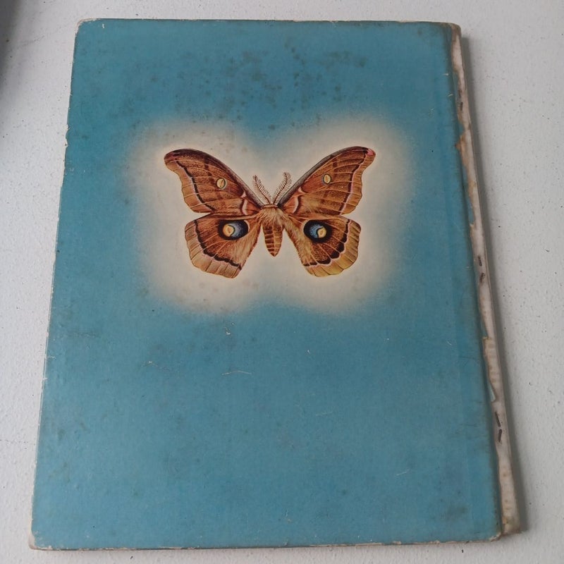 American Butterflies and Moths - 1942- Random House