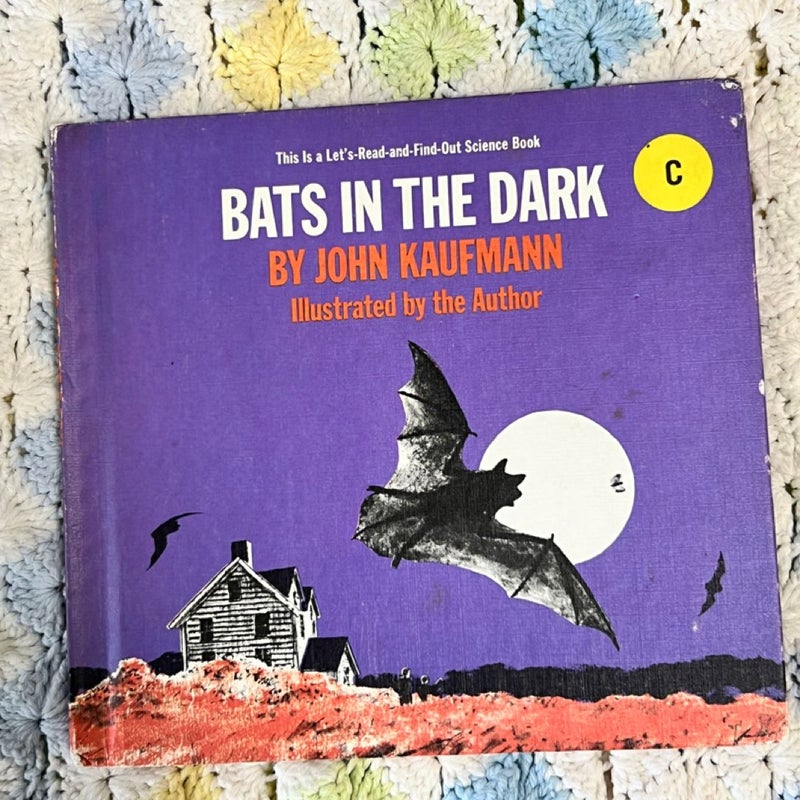 Bats in the Dark  