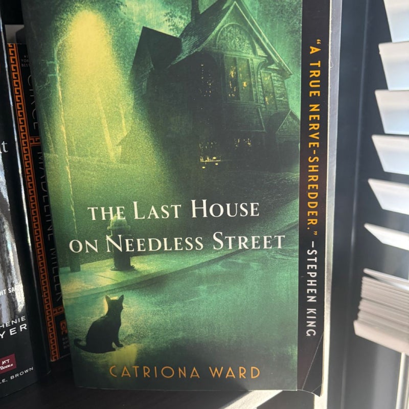 The Last House on Needless Street