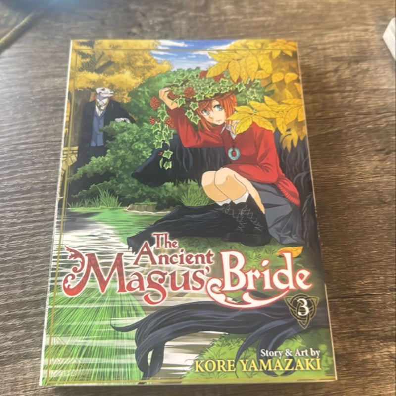 The Ancient Magus' Bride Vol. 3