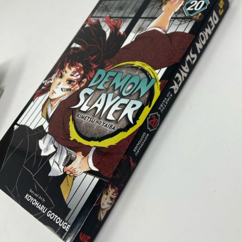 Demon Slayer: Kimetsu No Yaiba, Vol. 20