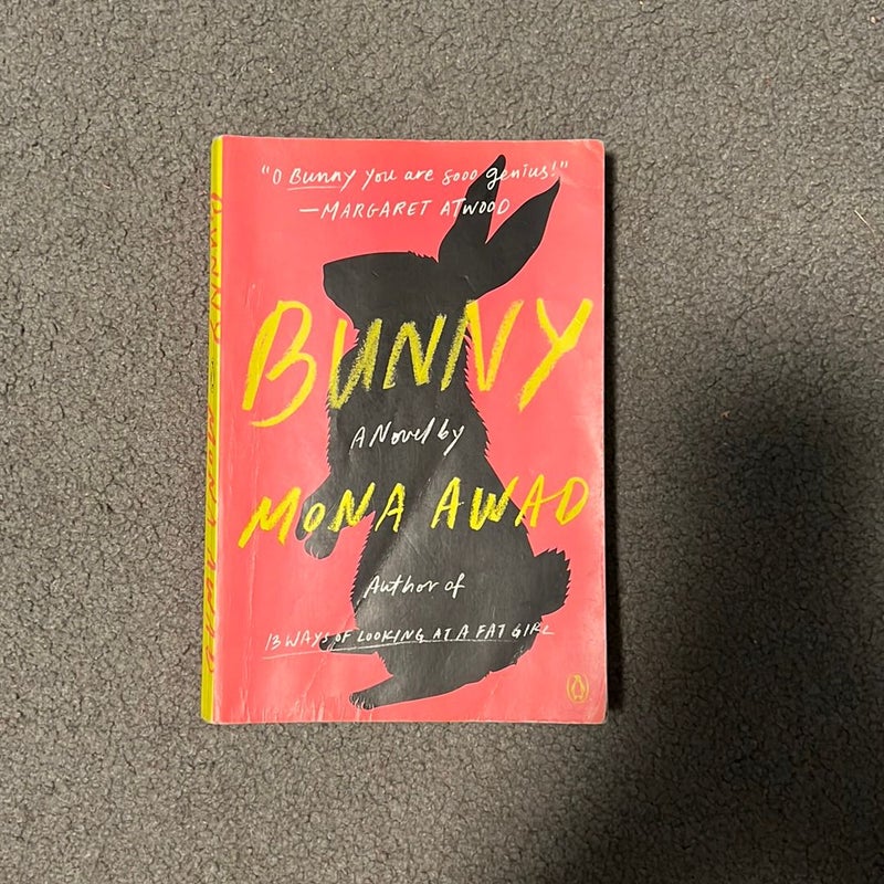 Bunny: A Novel: Awad, Mona: 9780525559757: : Books