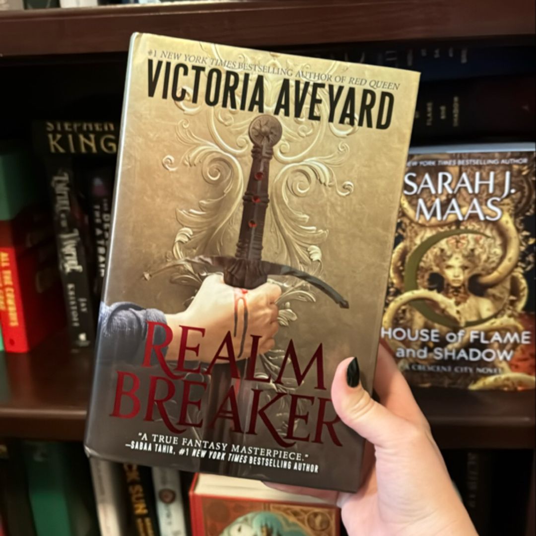 Realm Breaker