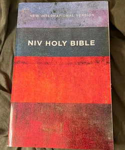 NIV Value Outreach Bible [Red/Blue]