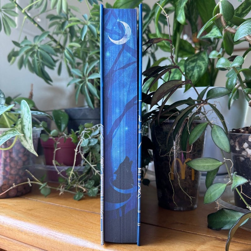 A Warrior's Fate - Moonlight Book Box Signed