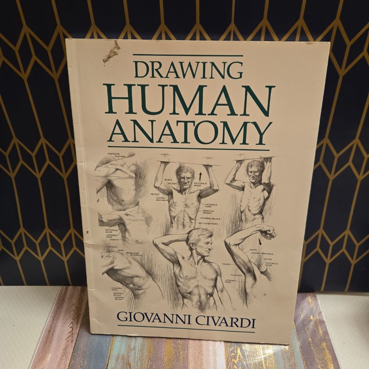 Drawing Human Anatomy by Giovanni Civardi