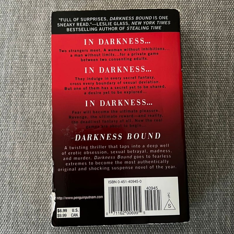 Darkness Bound