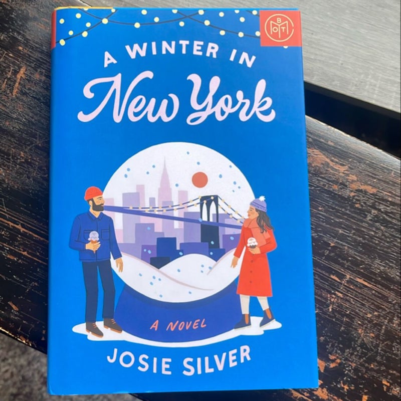 A Winter in New York