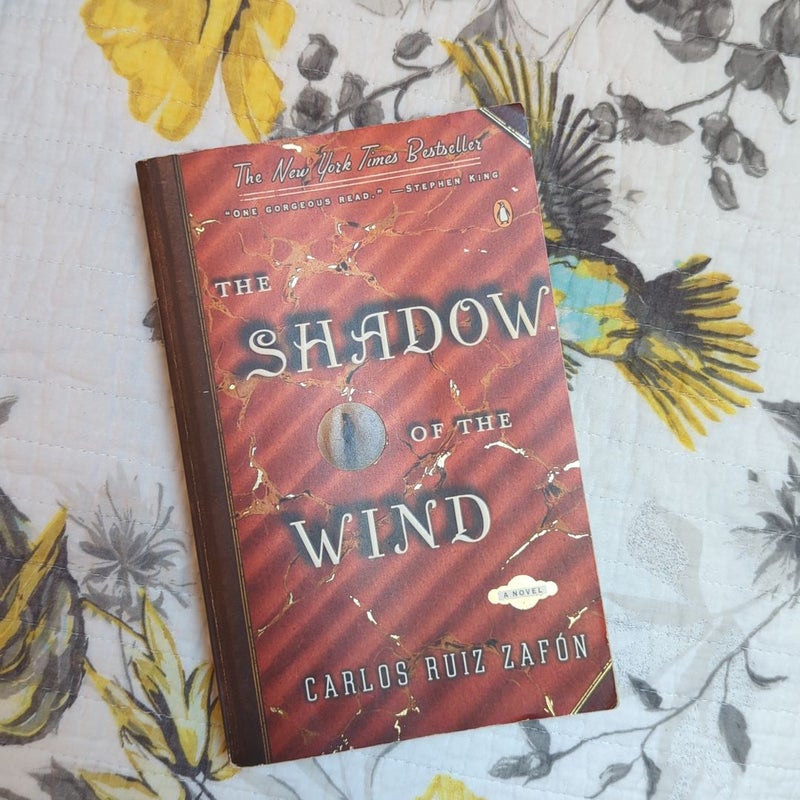 The Shadow of the Wind