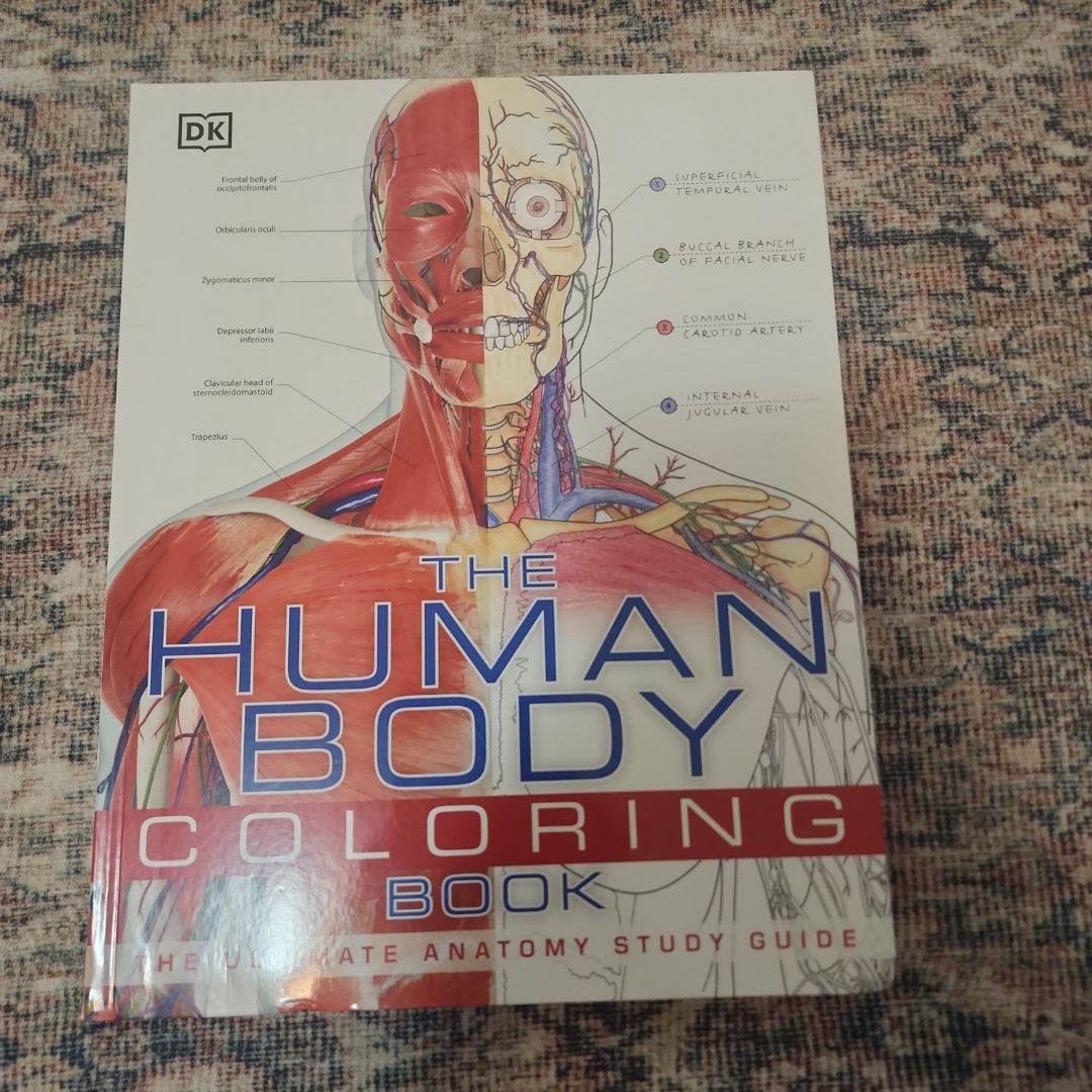 Sale image for b4982d68-d5af-4d66-8b5e-99d24fbc7c88-nXYmsKMQhxbkKw6zNYcwnu5VQzE2