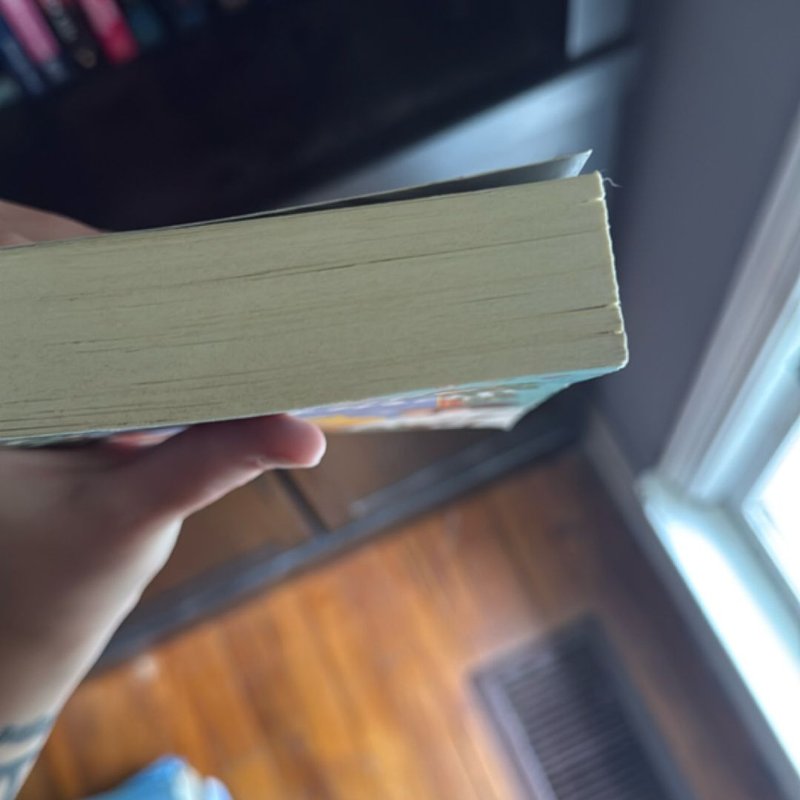 A Cat Cafe Christmas