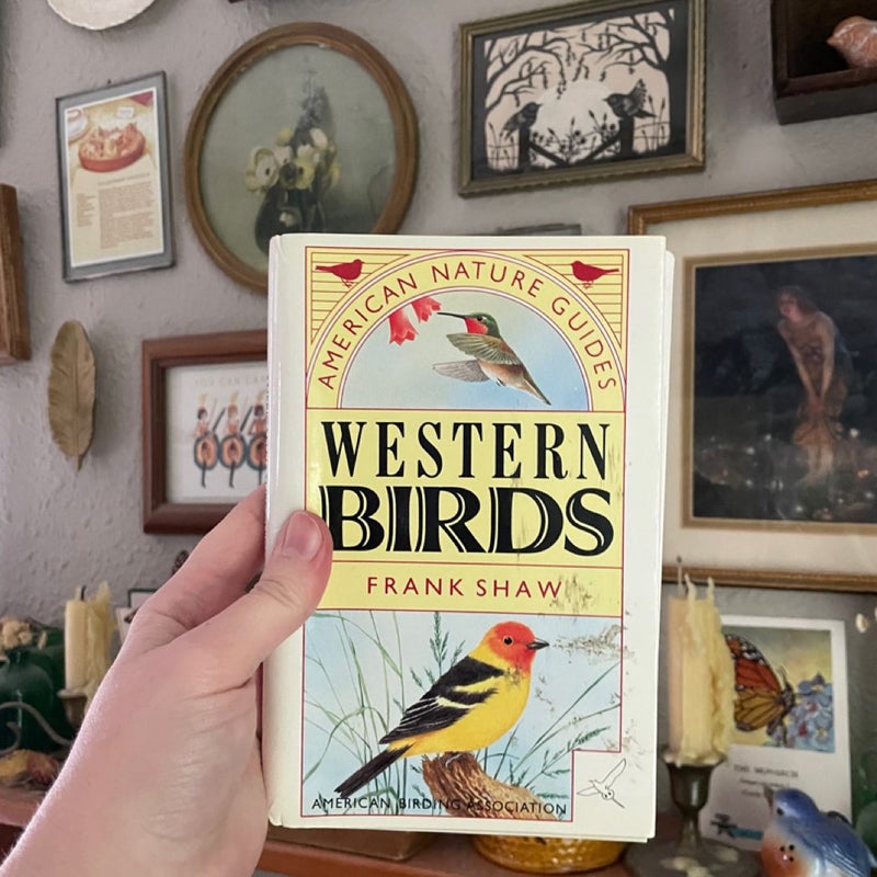 Western Birds