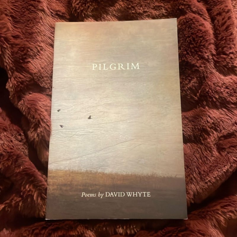 Pilgrim