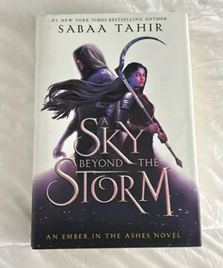 A Sky Beyond the Storm