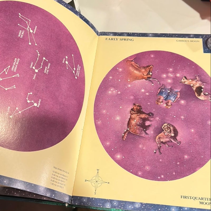 The Glow-in-the-Dark Night Sky Book