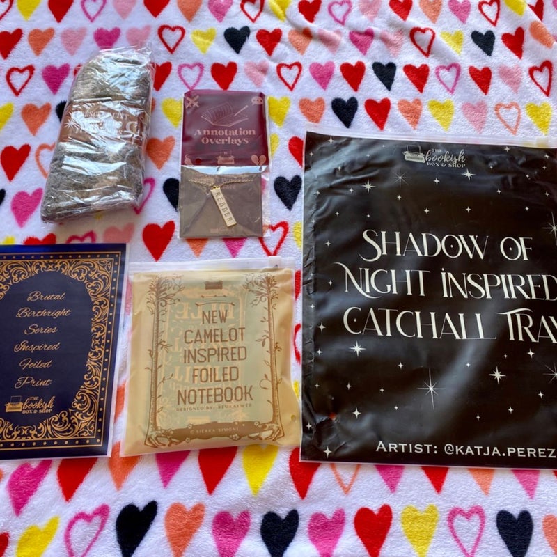Lot of Bookish Box exclusive items