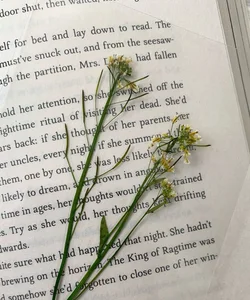 Handmade Real flower Bookmark