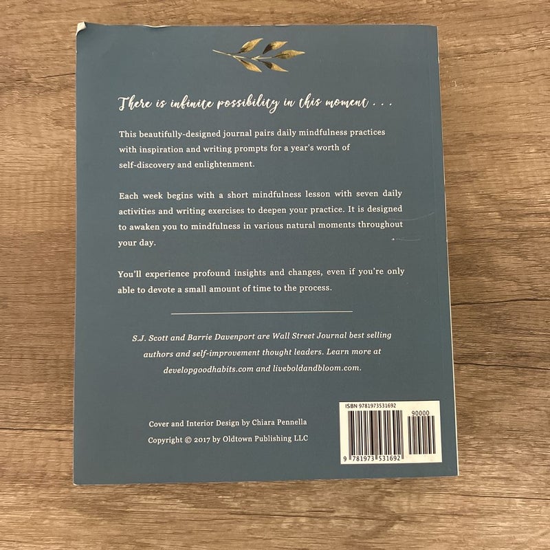 The Mindfulness Journal