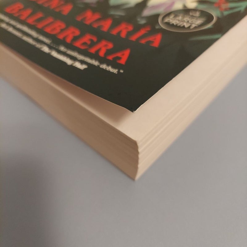 The Volcano Daughters - Large Print
