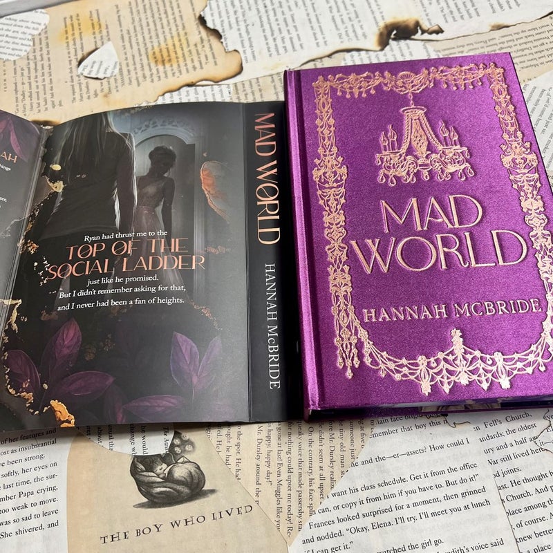 Mad World Hannah Mcbride  Baddies Book Box special edition