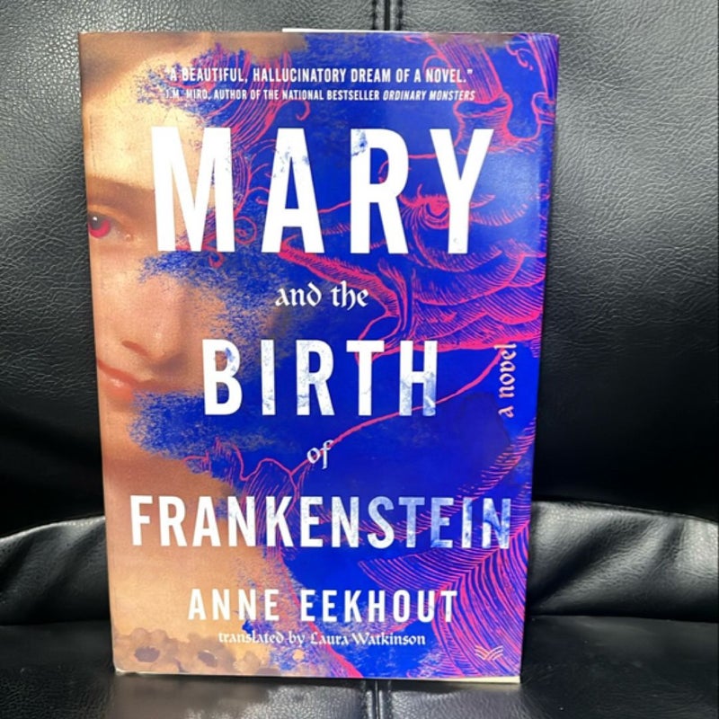 Mary and the Birth of Frankenstein