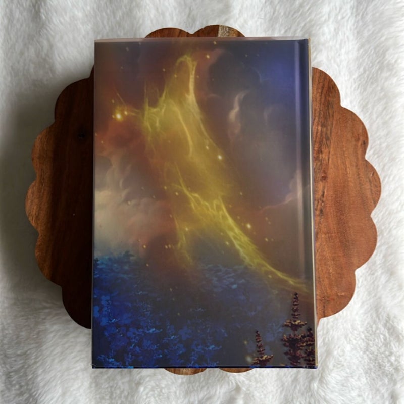 Gold Bookish Box SE