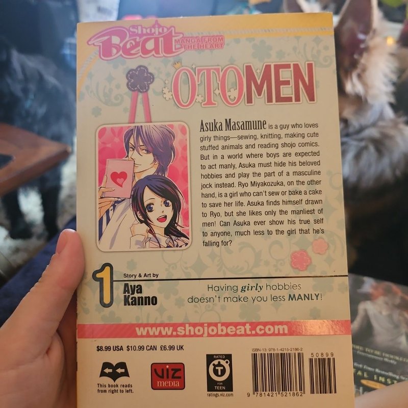Otomen, Vol. 1