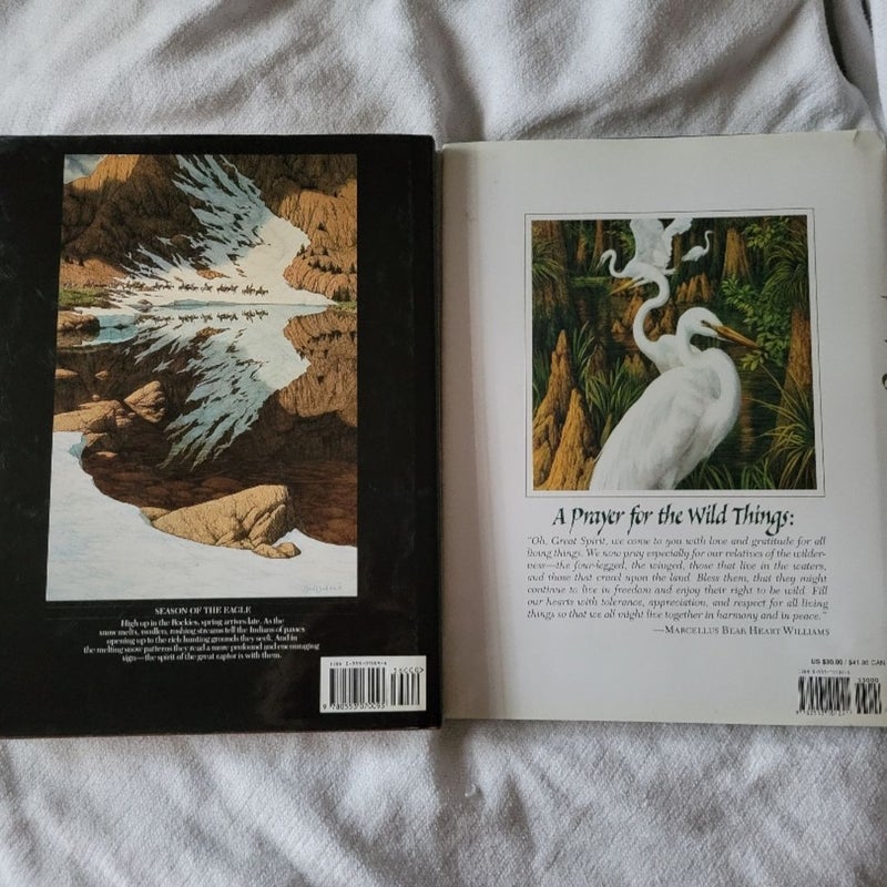 The Art of Bev Doolittle and New Magic