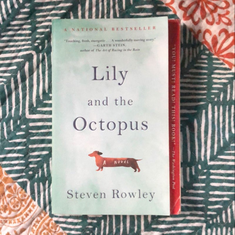 Lily and the Octopus