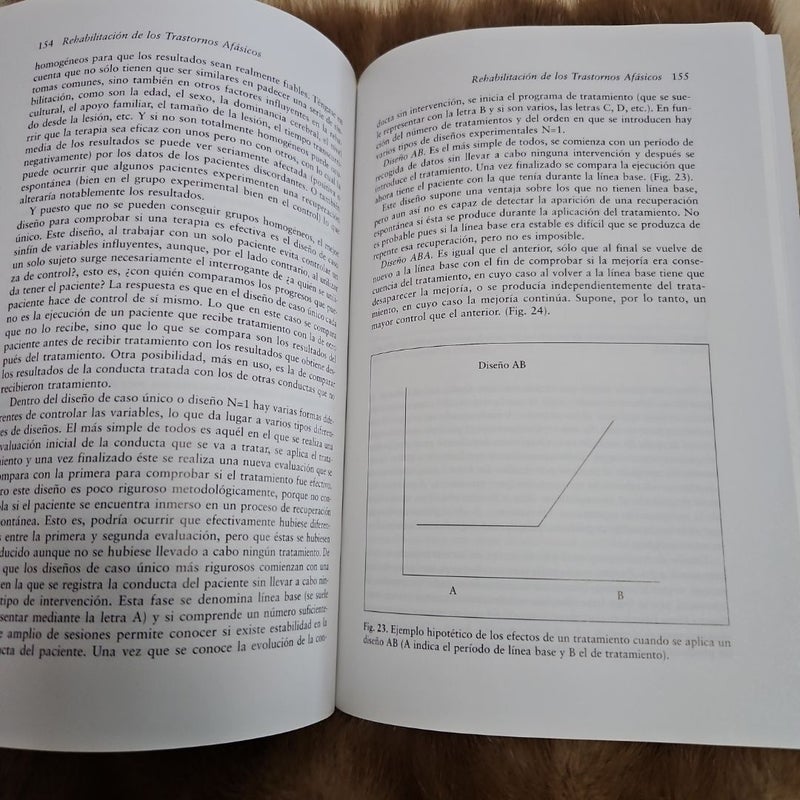 Evaluación y Rehabilitación de Las Afasias