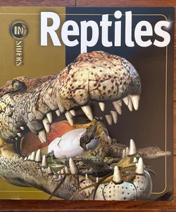 Reptiles 🐍 