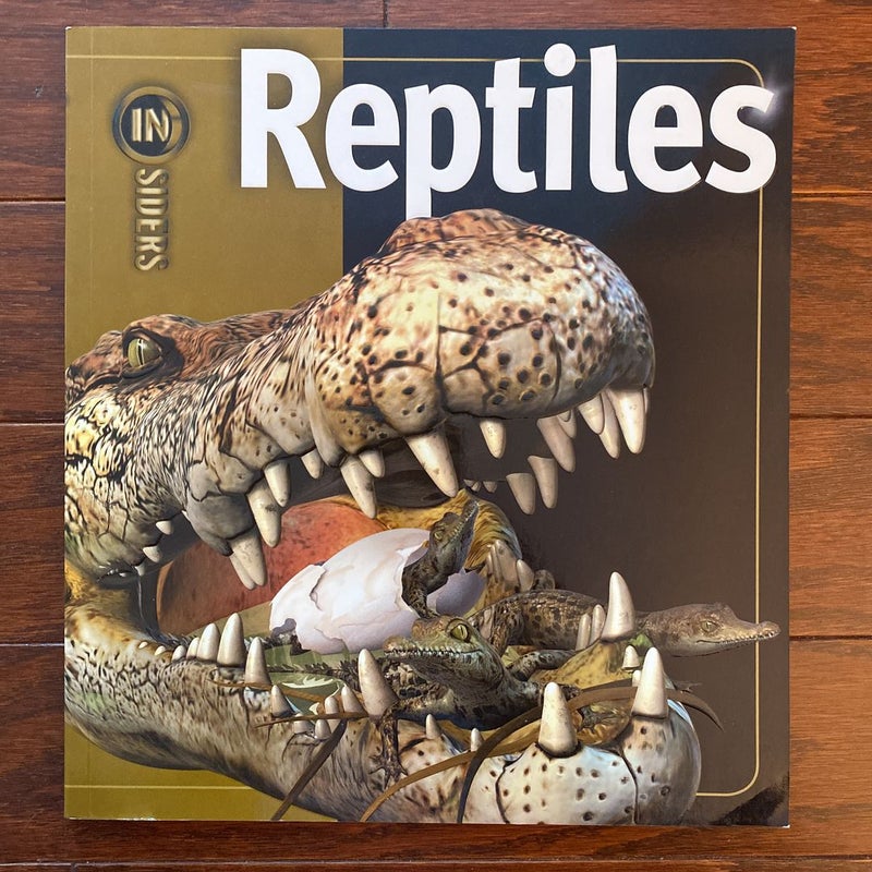 Reptiles 🐍 