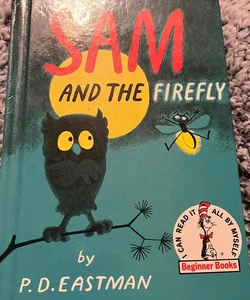 Sam and the firefly