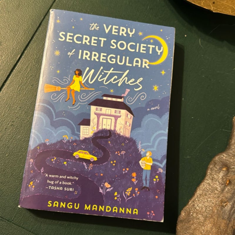 The Very Secret Society of Irregular Witches