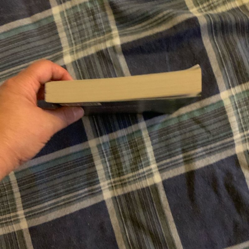 Aladdin Live Action Novelization