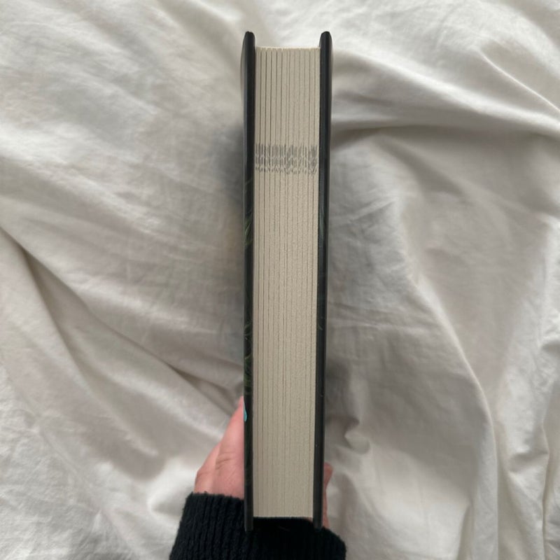 Reckless B&N Edition
