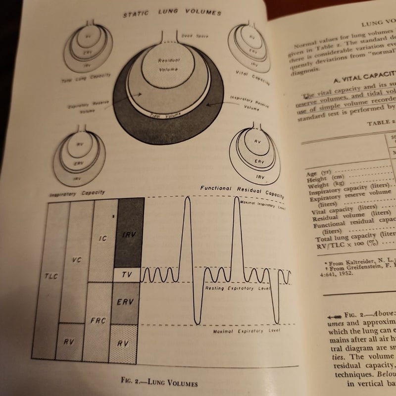 The Lung
