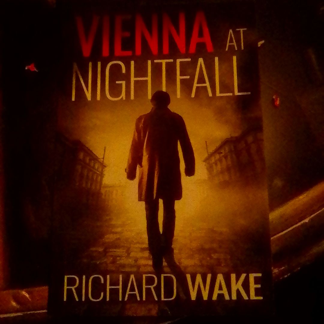 Vienna at Nightfall by Richard Wake