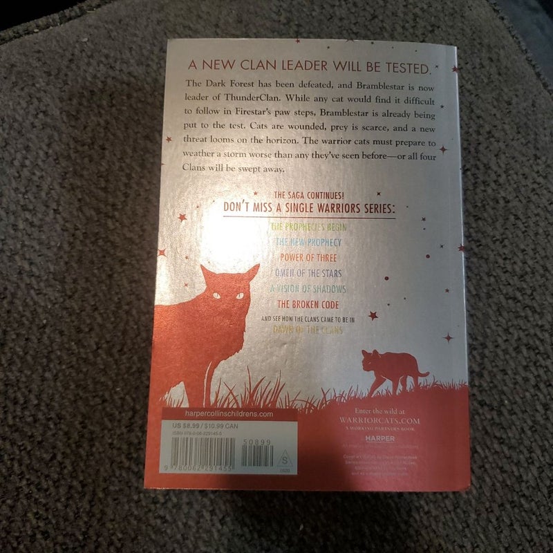 Warriors Super Edition: Bramblestar's Storm