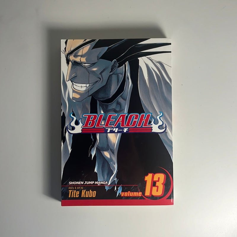 Bleach, Vol. 13