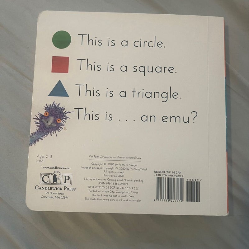 This Is a Book of Shapes