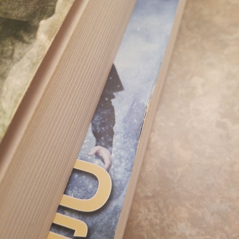 Ghost Story & Cold Days (Dresden Files #13 & 14)