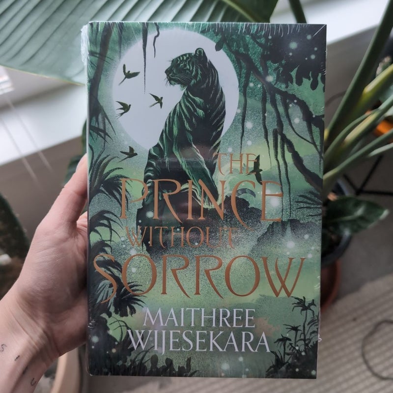 The Prince Without Sorrow