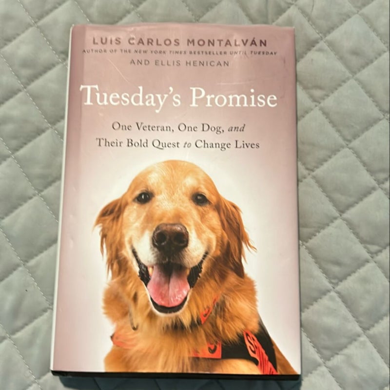 Tuesday's Promise