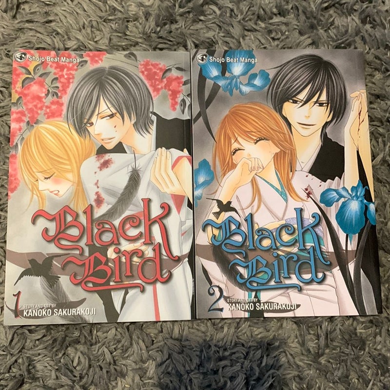 Black Bird, Manga Vol. 1+2