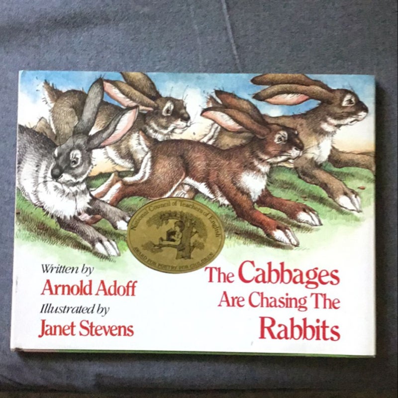 The Cabbages are chasing the Rabbits