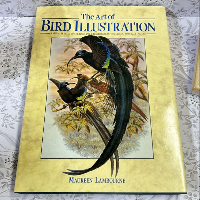 Art of Bird Illustration